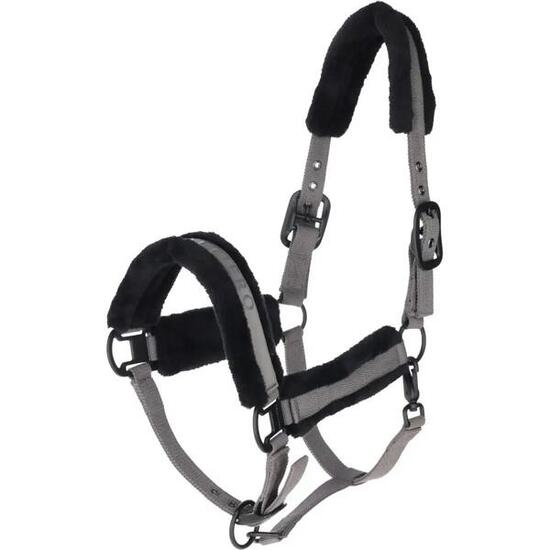 Halster voor paarden Covalliero