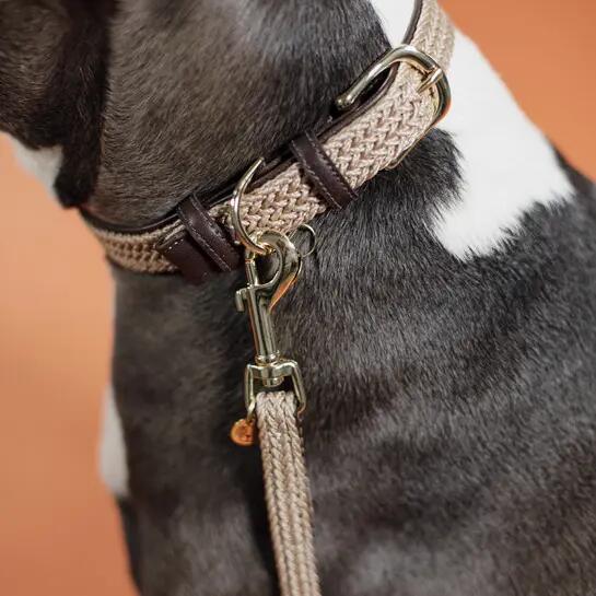 Braided nylon dog leash Kentucky 200 cm 3/4