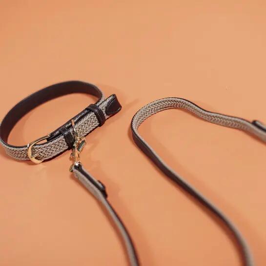 Braided nylon dog leash Kentucky 200 cm 4/4