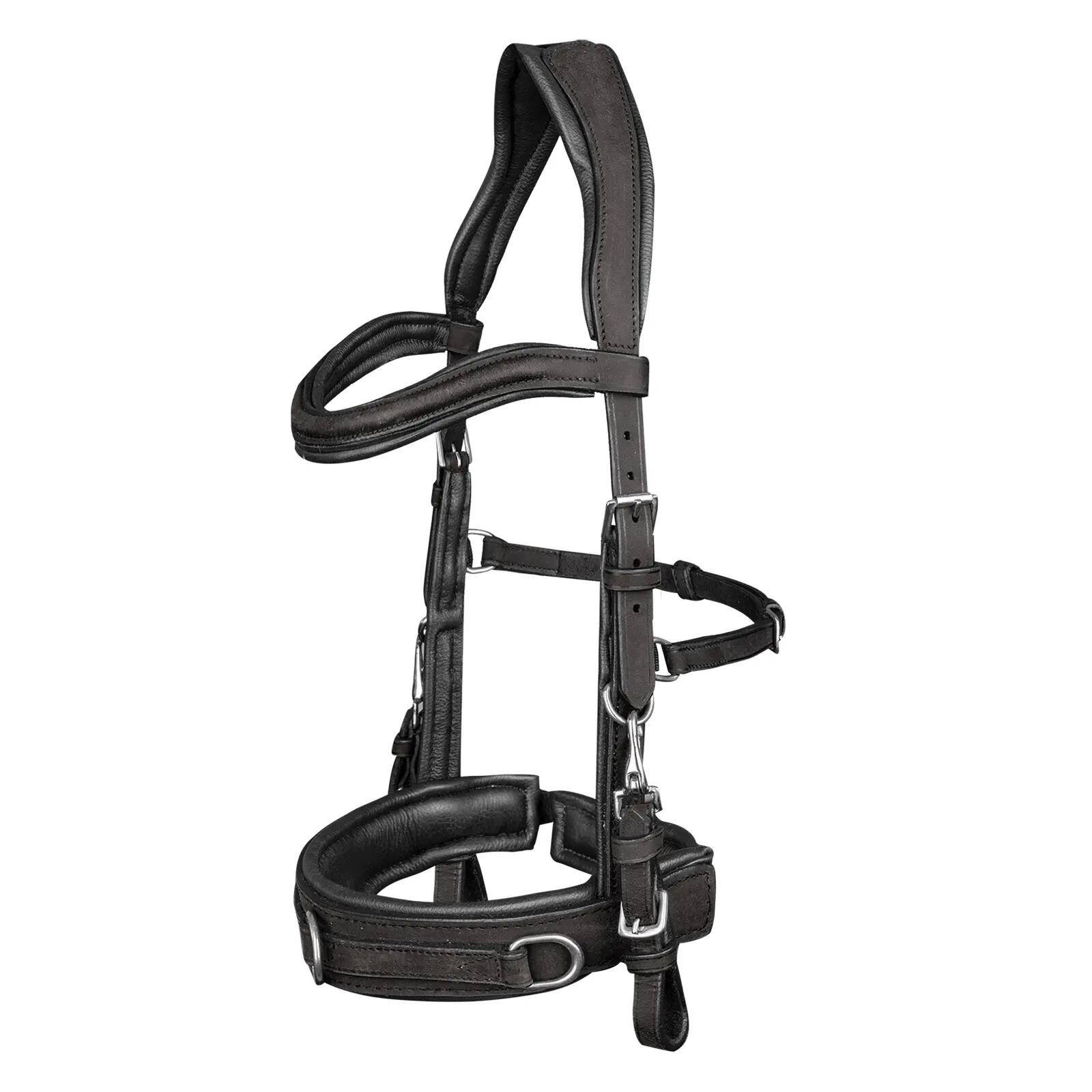 Caveçon pour cheval en cuir anatomic Waldhausen 1/1