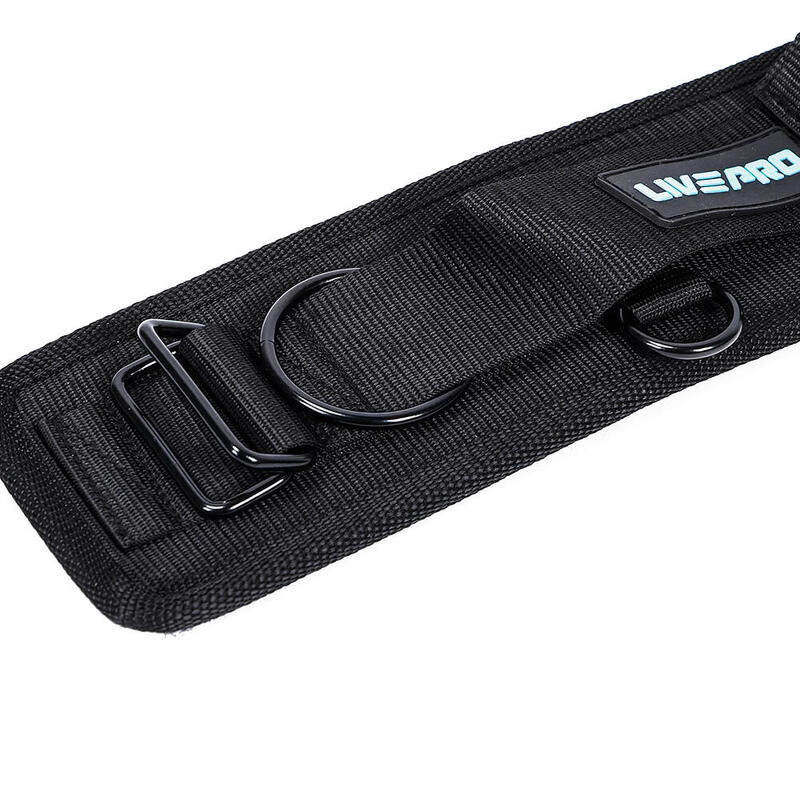 Livepro LP8424 Belden Bağlamalı Direnç Lastiği
