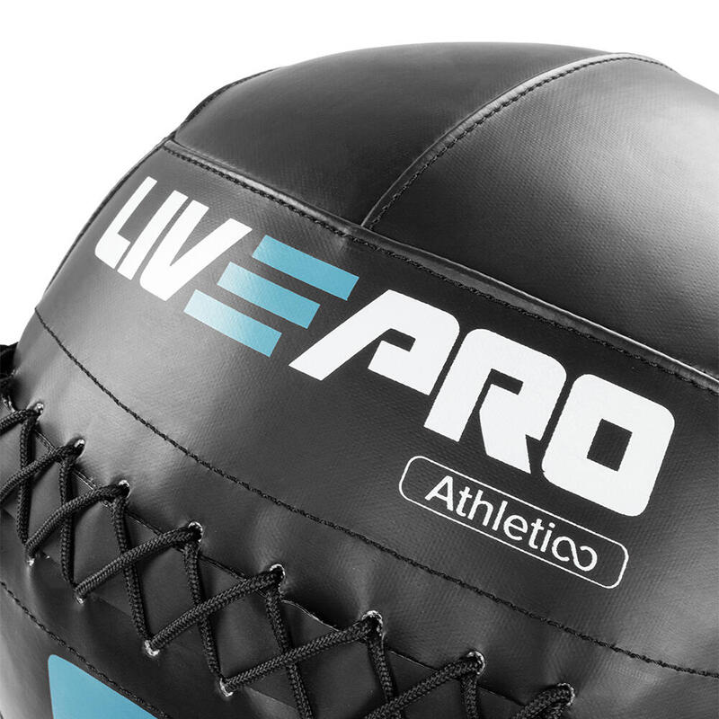 Livepro LP8103-12 12 Kg Pro Duvar Topu-Wallball