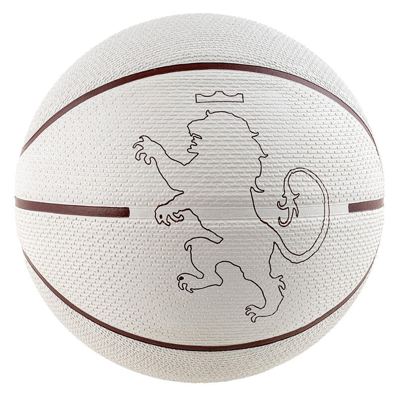 Nike N1004372-159 Lebron Playground 2.0 Kauçuk 7 No Basketbol Topu
