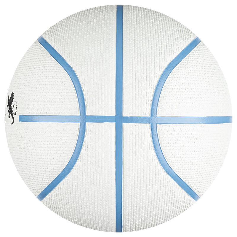 Nike N1004372-086 Lebron Playground 2.0 Kauçuk 7 No Basketbol Topu