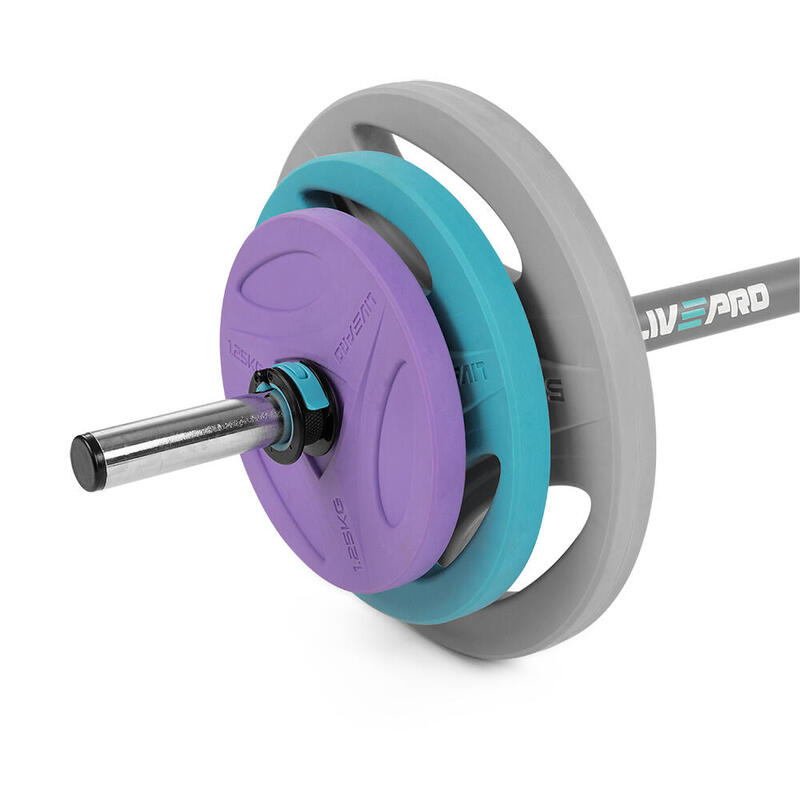 Livepro LP8030 20 Kg PU Stüdyo Bar-Plaka Seti