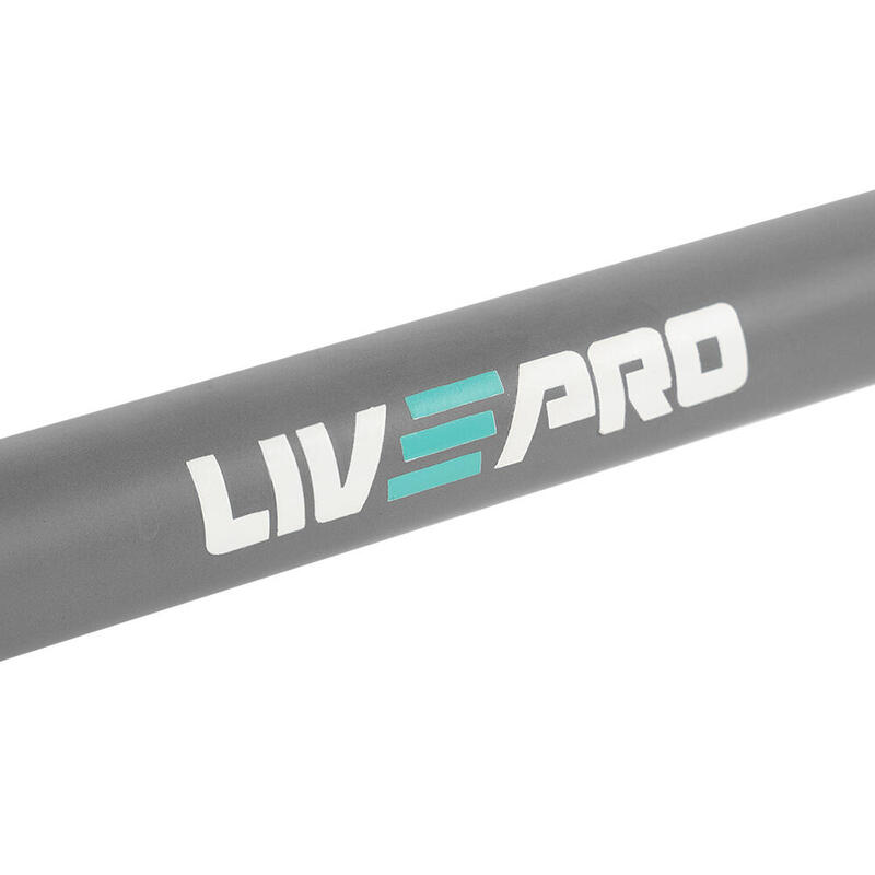 Livepro LP8030 20 Kg PU Stüdyo Bar-Plaka Seti