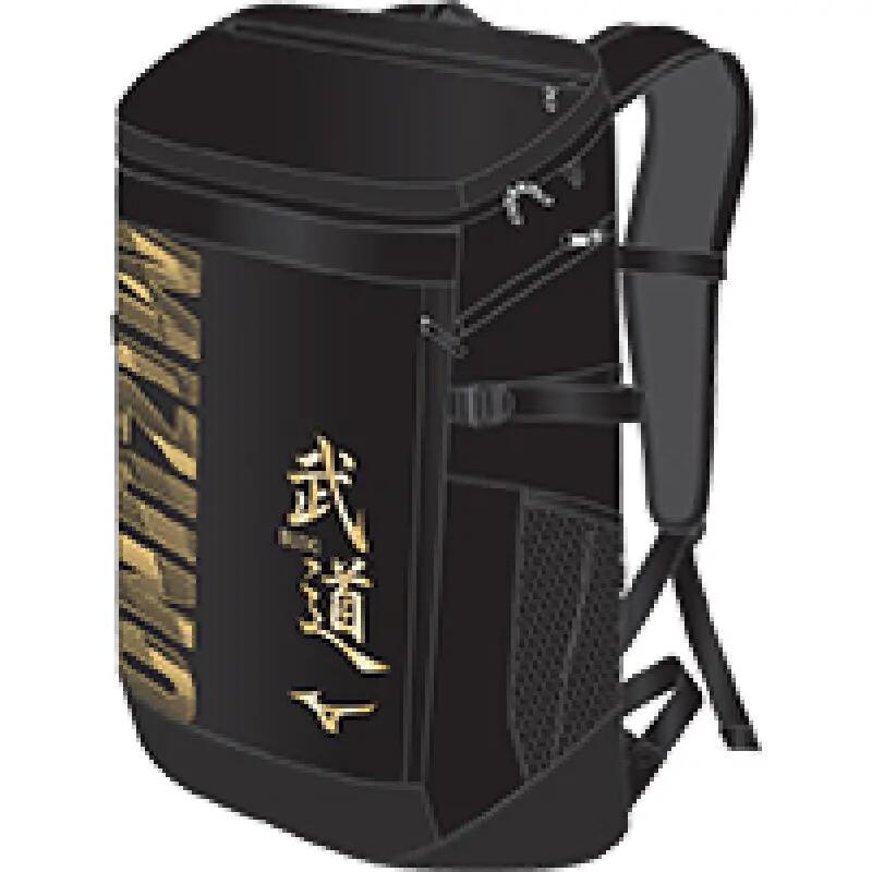 MIZUNO picture