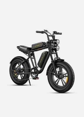 Engwe m20 elektrische fiets met dubbele accu, 20 inch brede banden, 150 km actie