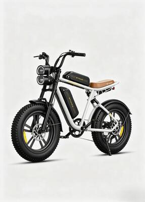 Engwe m20 elektrische fiets met dubbele accu, 20 inch brede banden, 150 km actie
