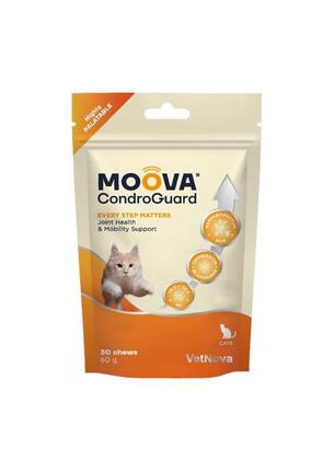 Complément alimentaire pour chats à effet chondroprotecteur - Moova