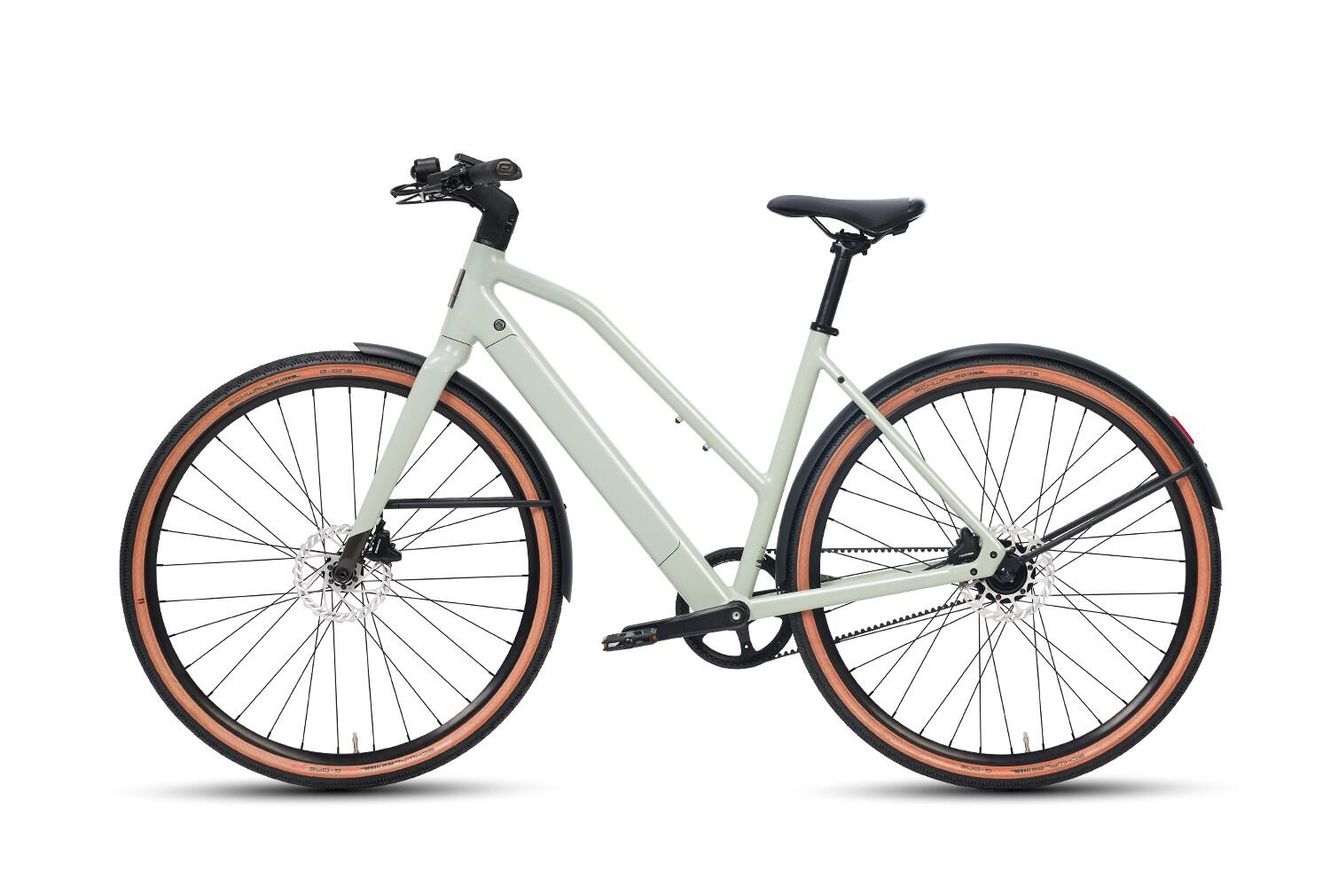 Turmali S Bicicleta eléctrica correa 36V 250W 35Nm 110km ligera 4/4