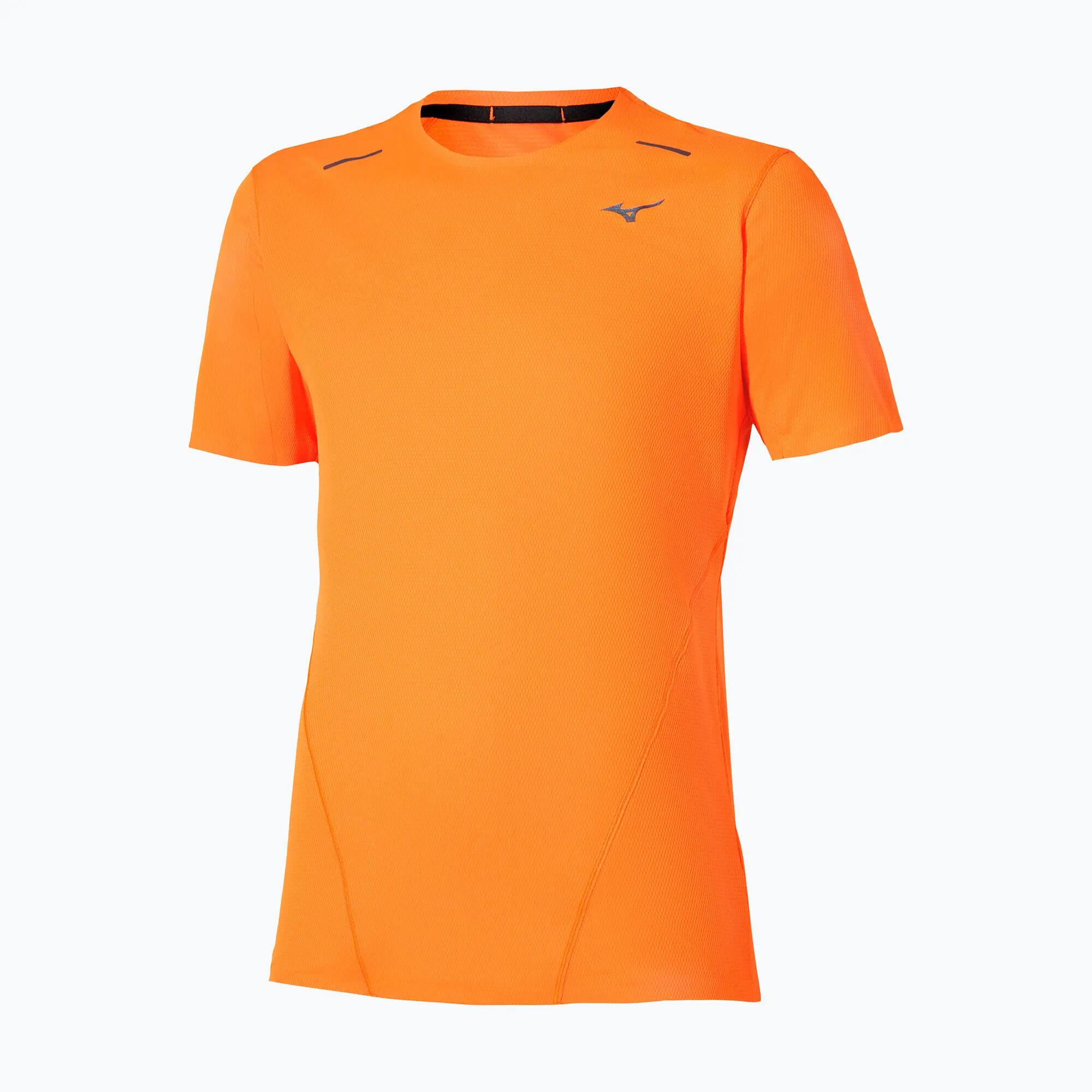 Koszulka do biegania męska Mizuno Tech Light DAF 1/3