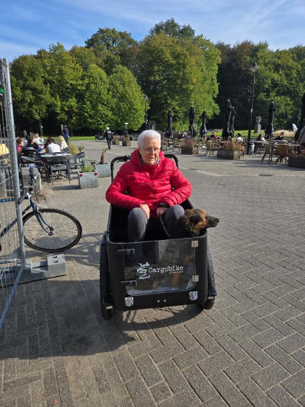 Entre Particuliers - Vélo cargo électrique 4/7