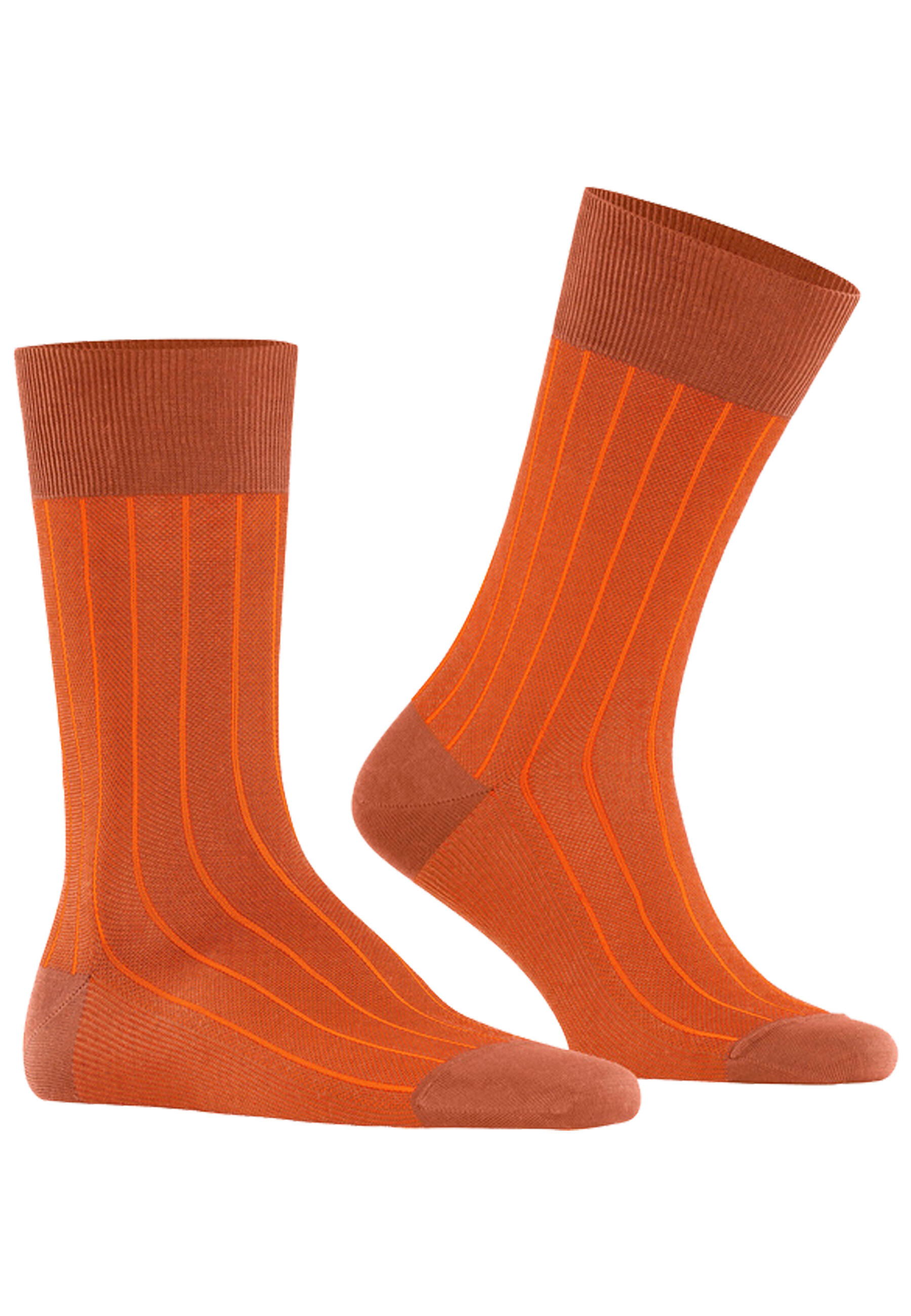Oxford Neon 4/5