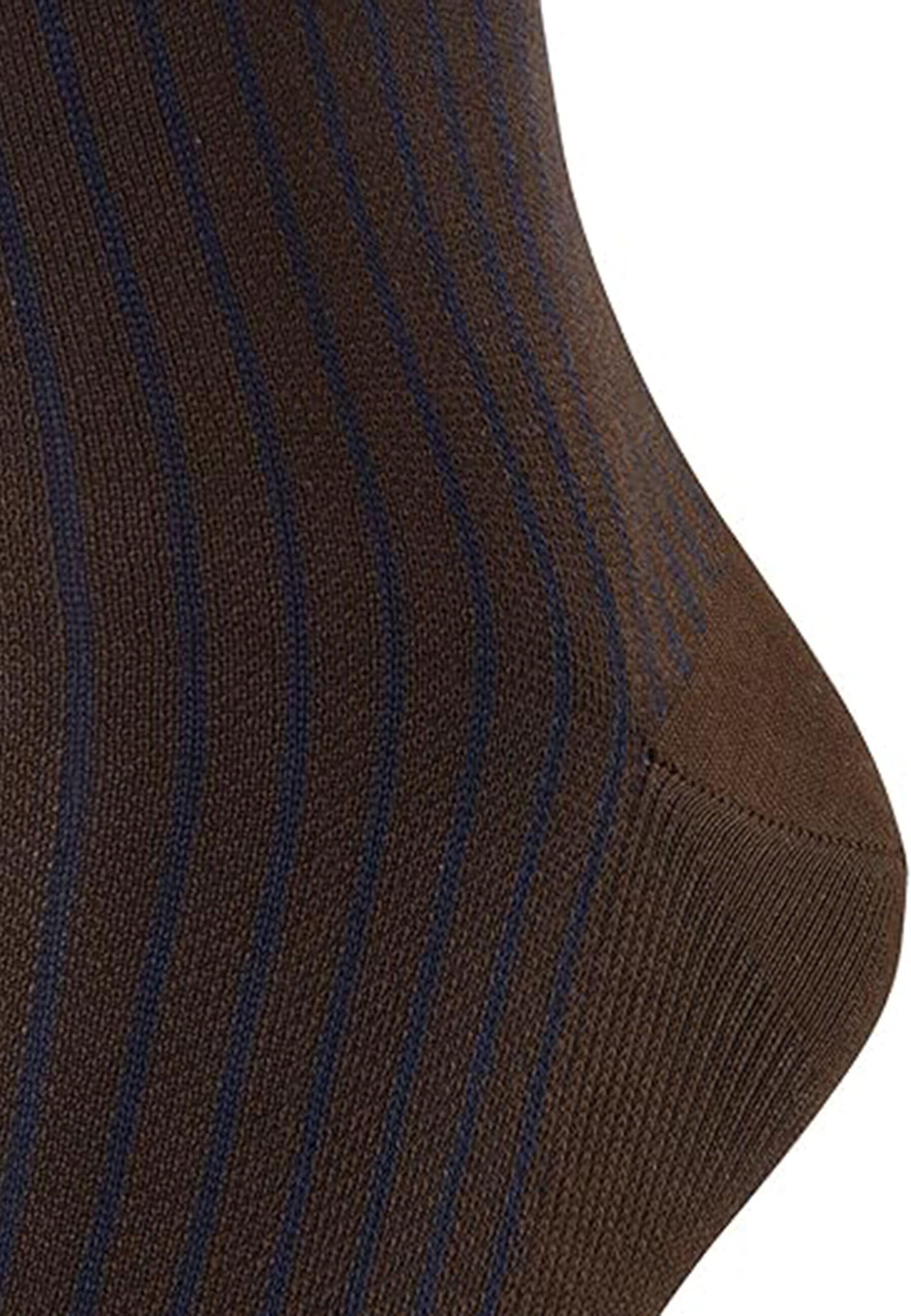 Oxford Stripe 6/6