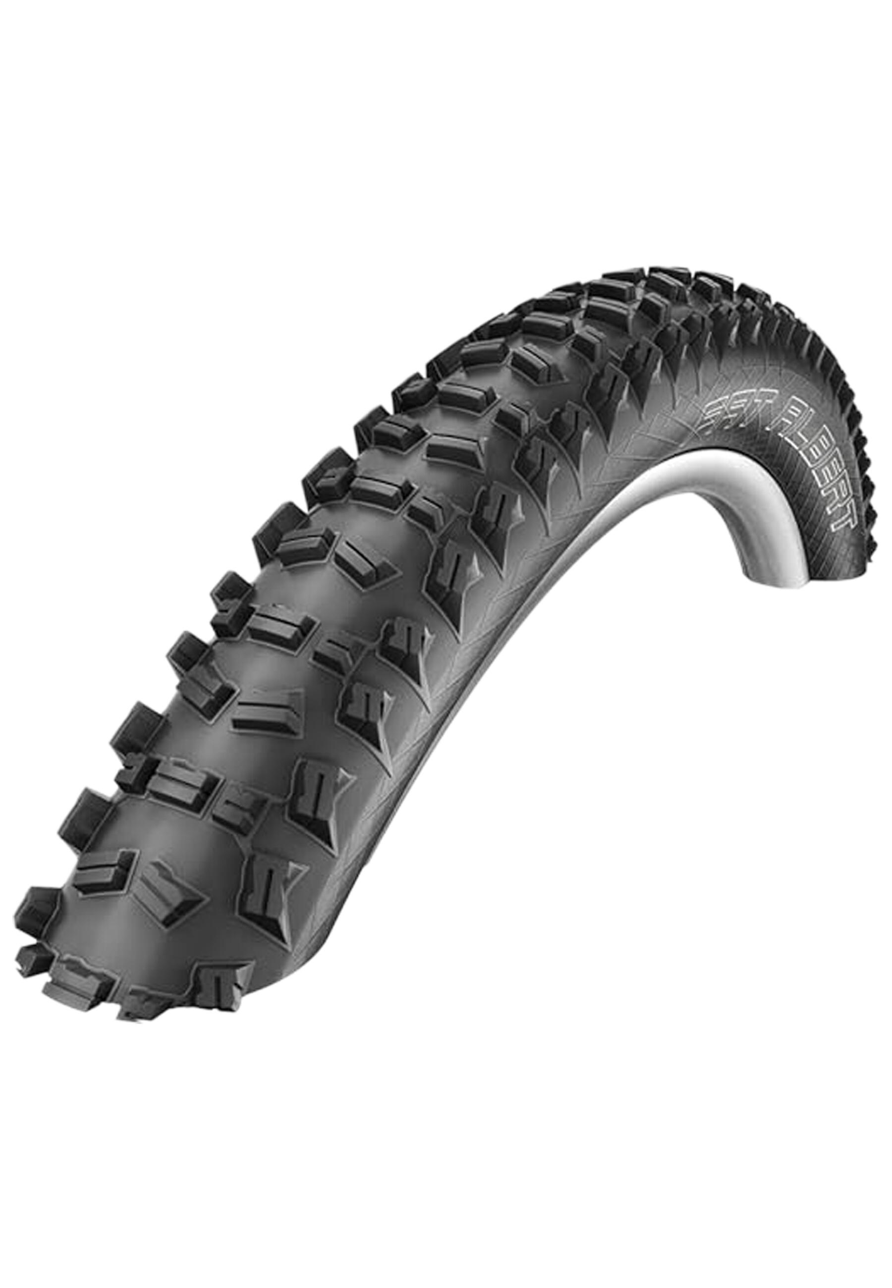 SCHWALBE picture