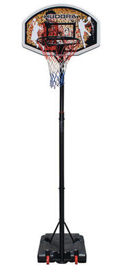 Basketbal hoepel hudora chicago 260
