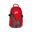 Batoh Mountains 20 L
