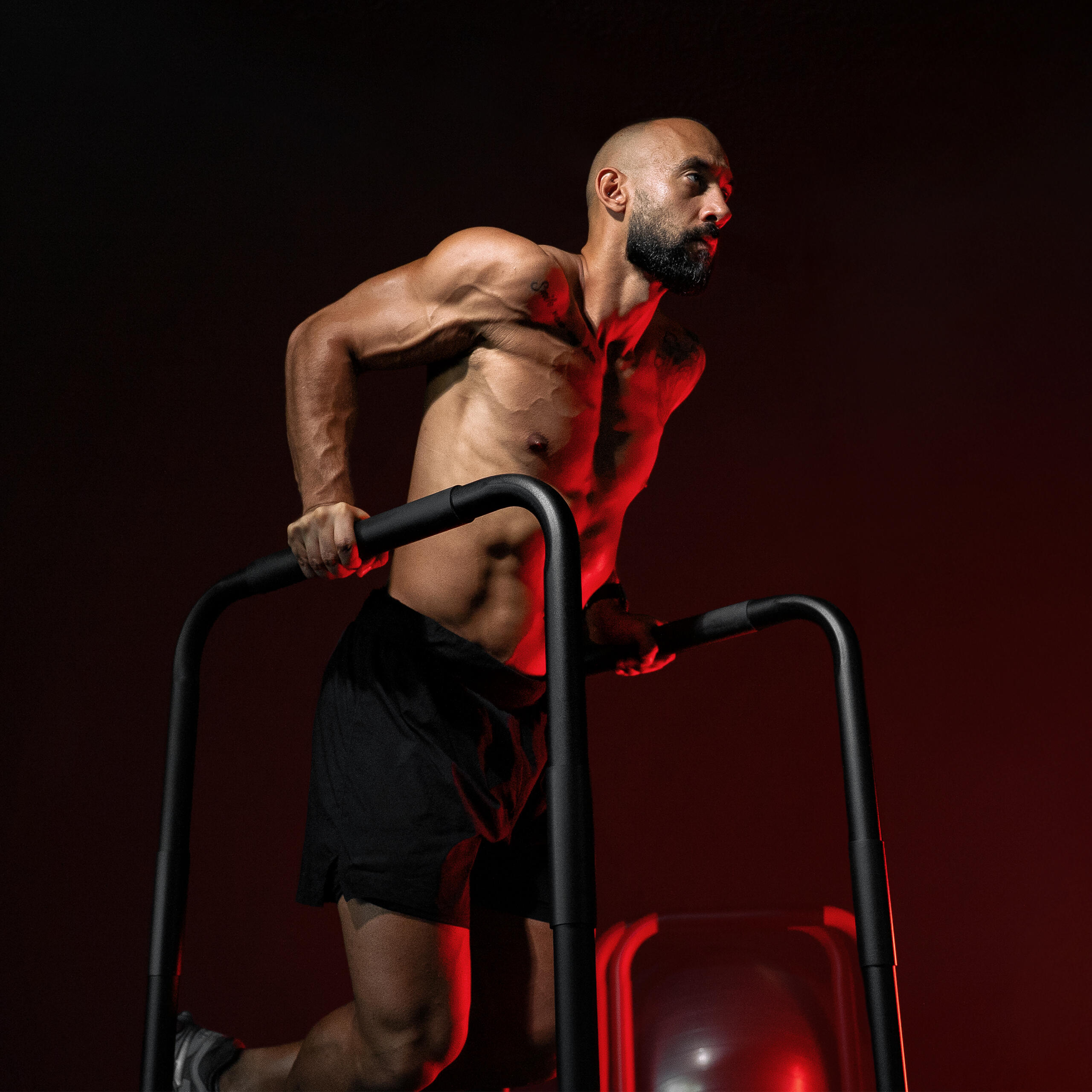 BARRES PARALLÈLES | BARRES A DIPS ET CROSS TRAINING | 94CM | COLORIS AU CHOIX 3/7