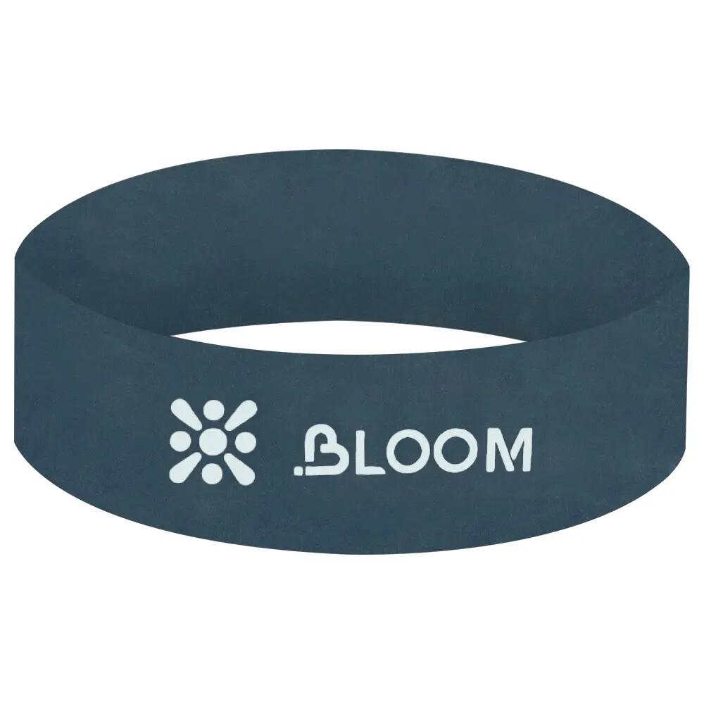 BLOOM picture