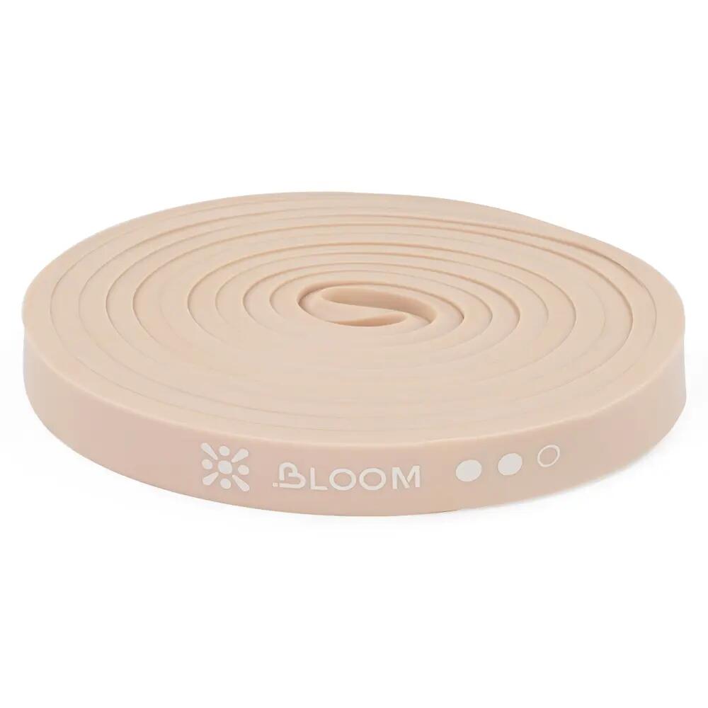BLOOM picture