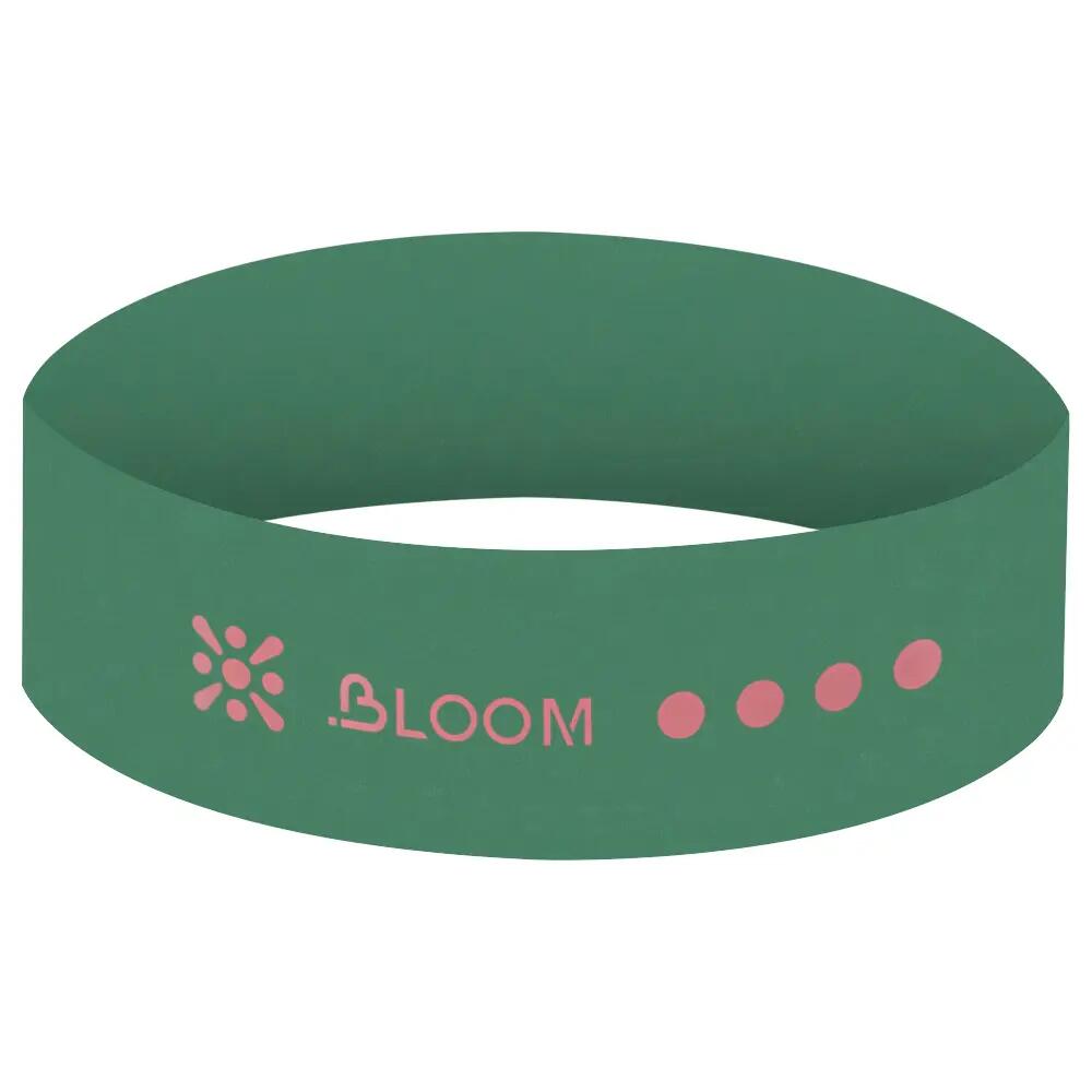 BLOOM picture