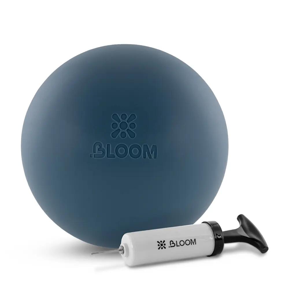 BLOOM picture