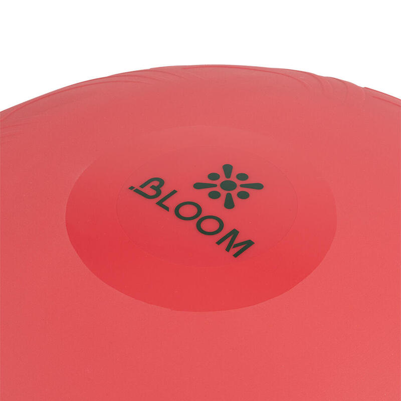 Bloom LB7052 Mini Bosu Topu Pembe