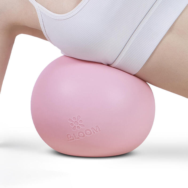 Bloom LB7003 20 Cm Premium Pilates Topu Pembe + Pompa
