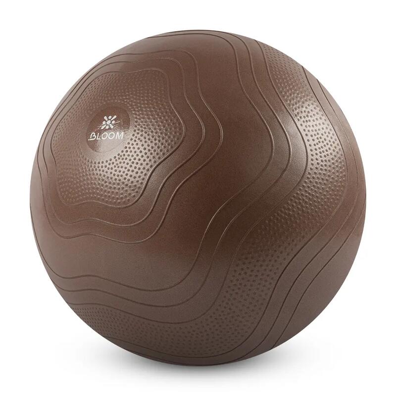 Bloom LB7051 55 Cm Pilates Topu Kahverengi
