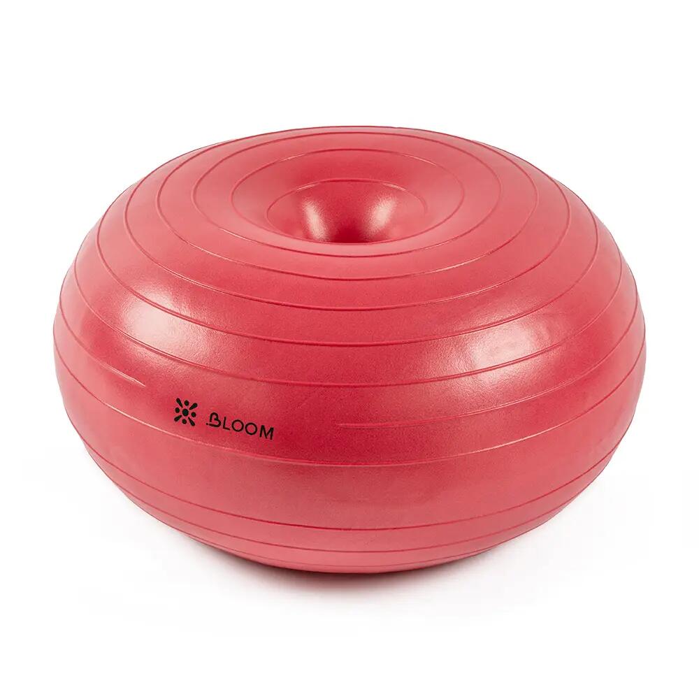 Bloom LB7053 Denge Topu Pembe + Pompası 1/6
