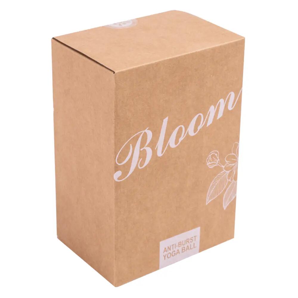 Bloom LB7051 75 Cm Pilates Topu Beyaz 7/7