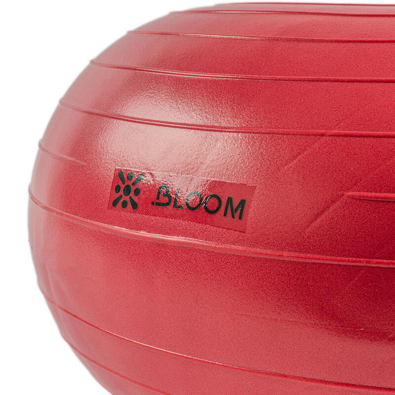 Bloom LB7053 Denge Topu Pembe + Pompası