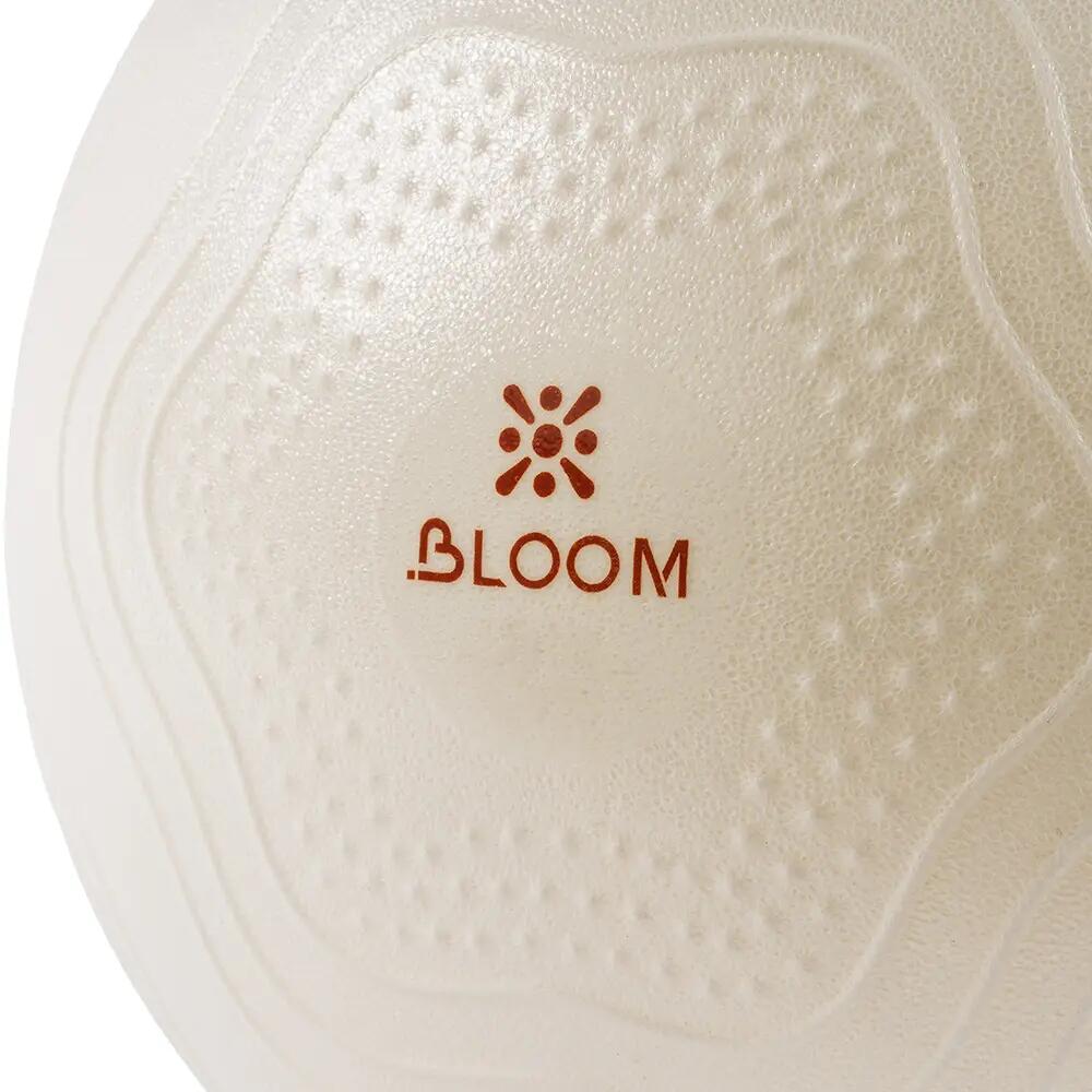 Bloom LB7001 25 Cm Mini Pilates Topu Beyaz + Pompası 3/6