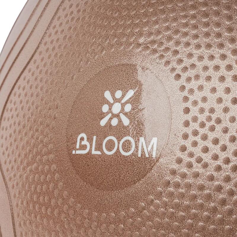 Bloom LB7051 55 Cm Pilates Topu Kahverengi