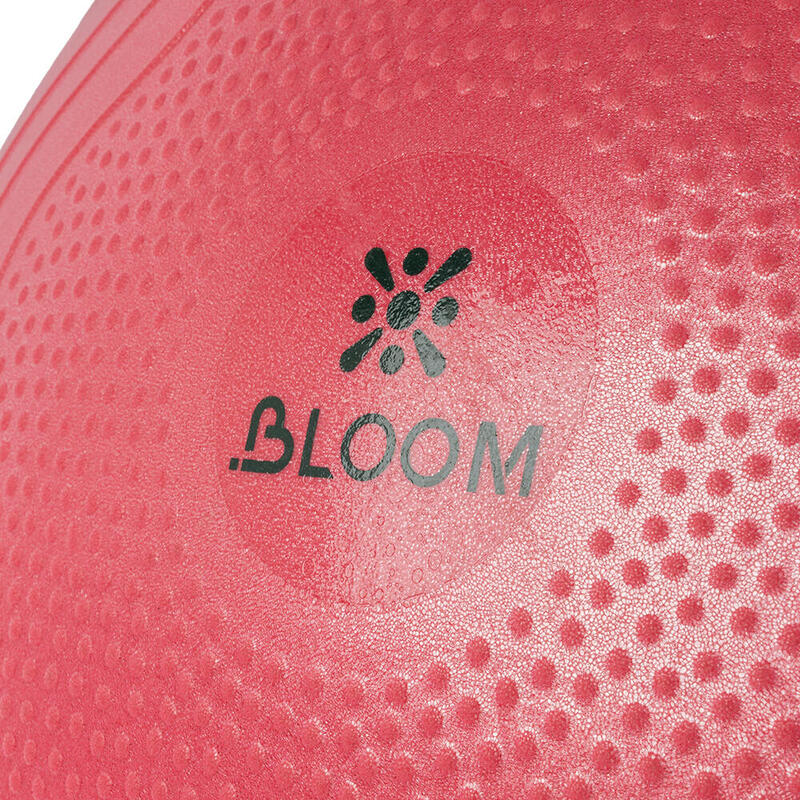 Bloom LB7051 65 Cm Pilates Topu Pembe