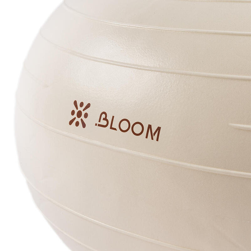 Bloom LB7053 Denge Topu Beyaz + Pompası