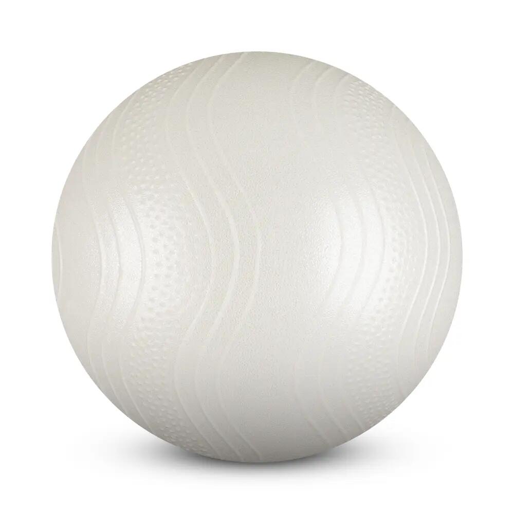 Bloom LB7001 25 Cm Mini Pilates Topu Beyaz + Pompası 2/6