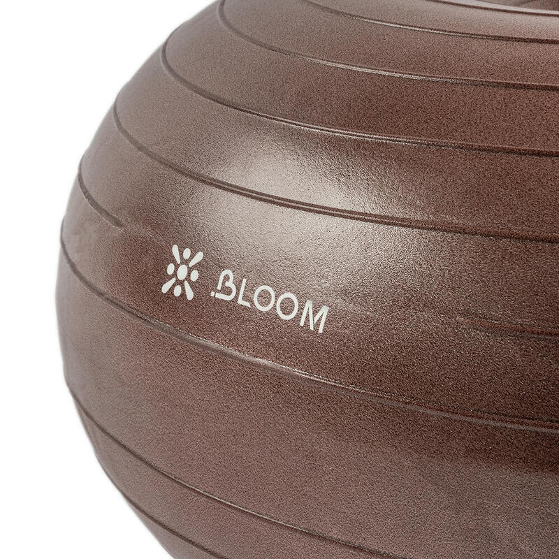 Bloom LB7053 Denge Topu Kahverengi + Pompası