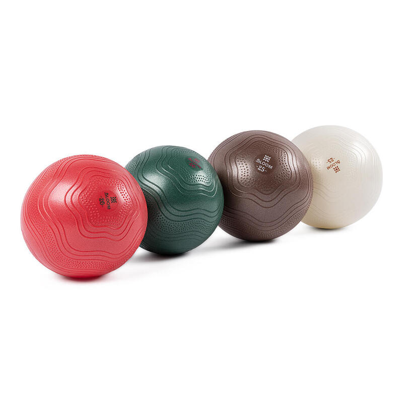 Bloom LB7001 20 Cm Mini Pilates Topu Beyaz + Pompası