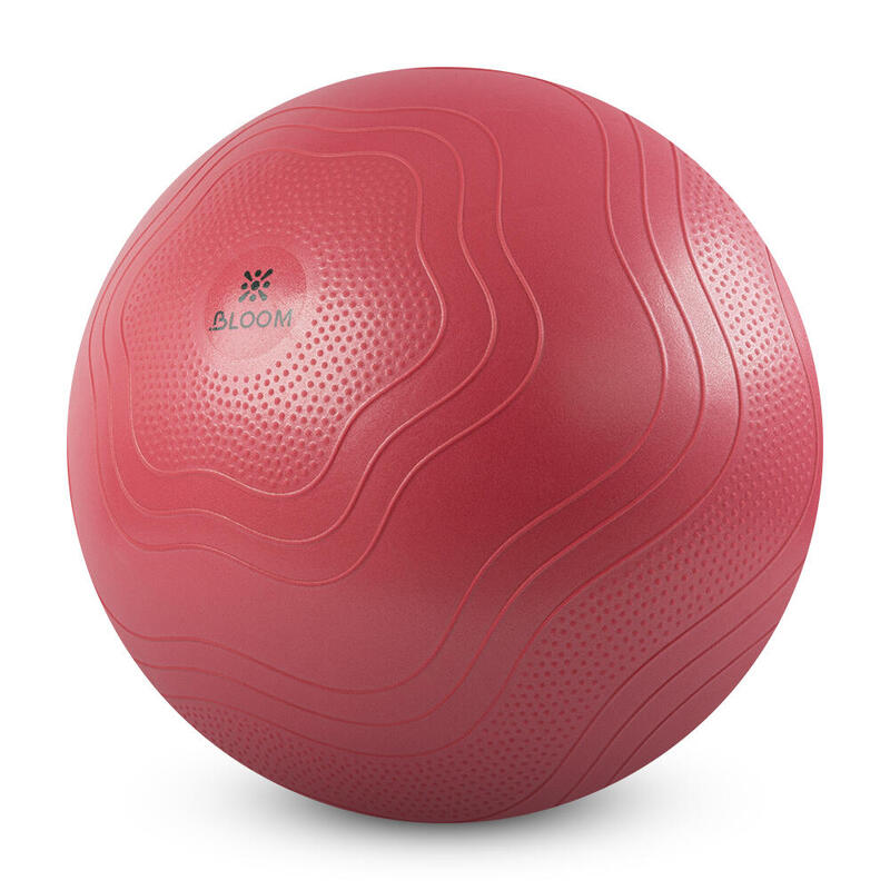 Bloom LB7051 55 Cm Pilates Topu Pembe