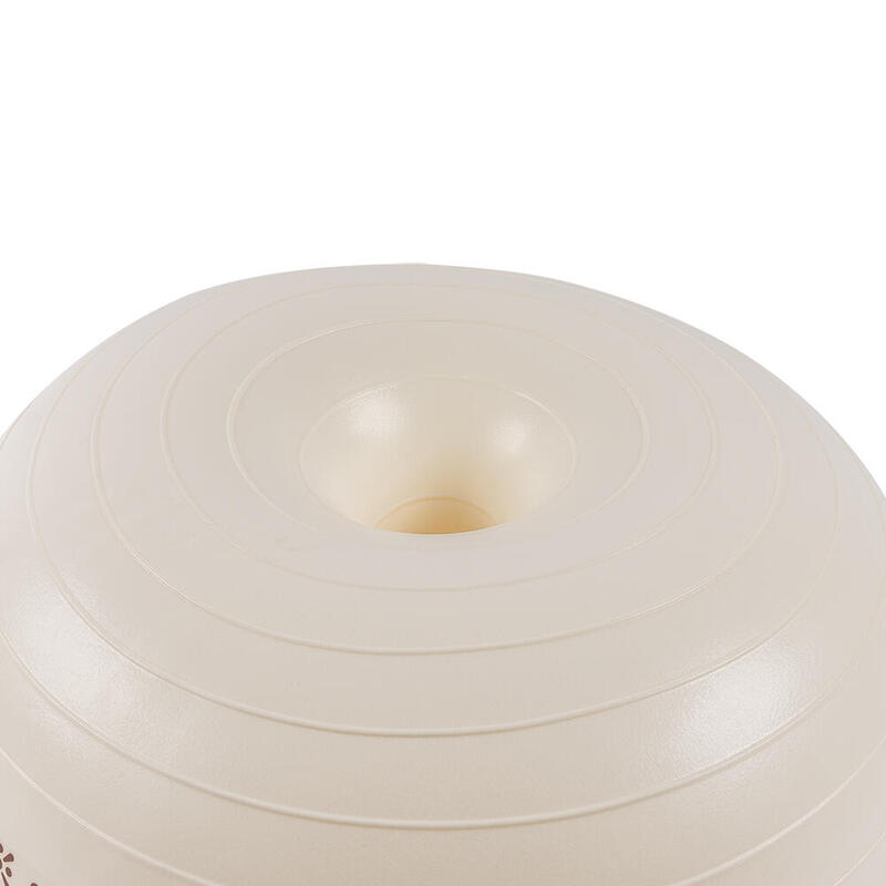 Bloom LB7053 Denge Topu Beyaz + Pompası