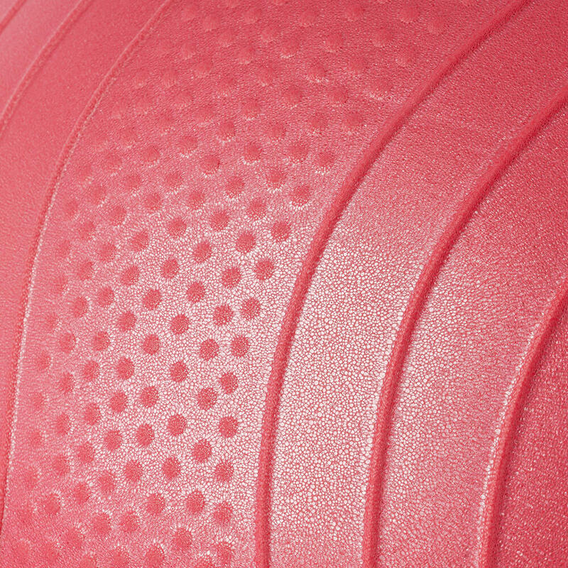 Bloom LB7051 55 Cm Pilates Topu Pembe
