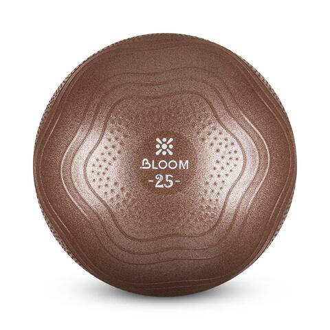 Bloom LB7001 25 Cm Mini Pilates Topu Kahverengi + Pompası
