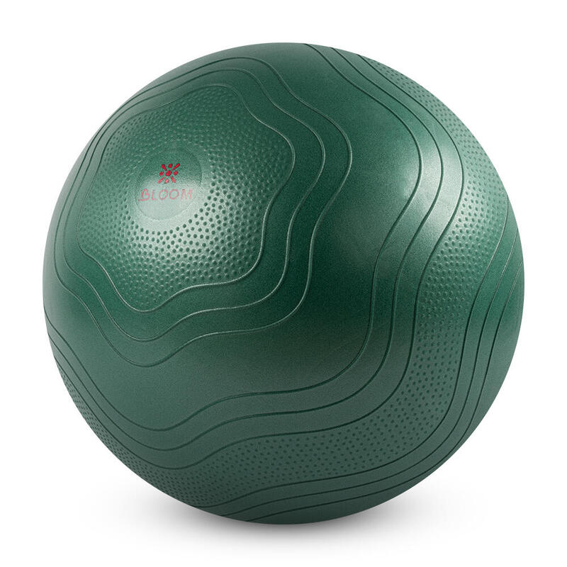 Bloom LB7051 65 Cm Pilates Topu Yeşil
