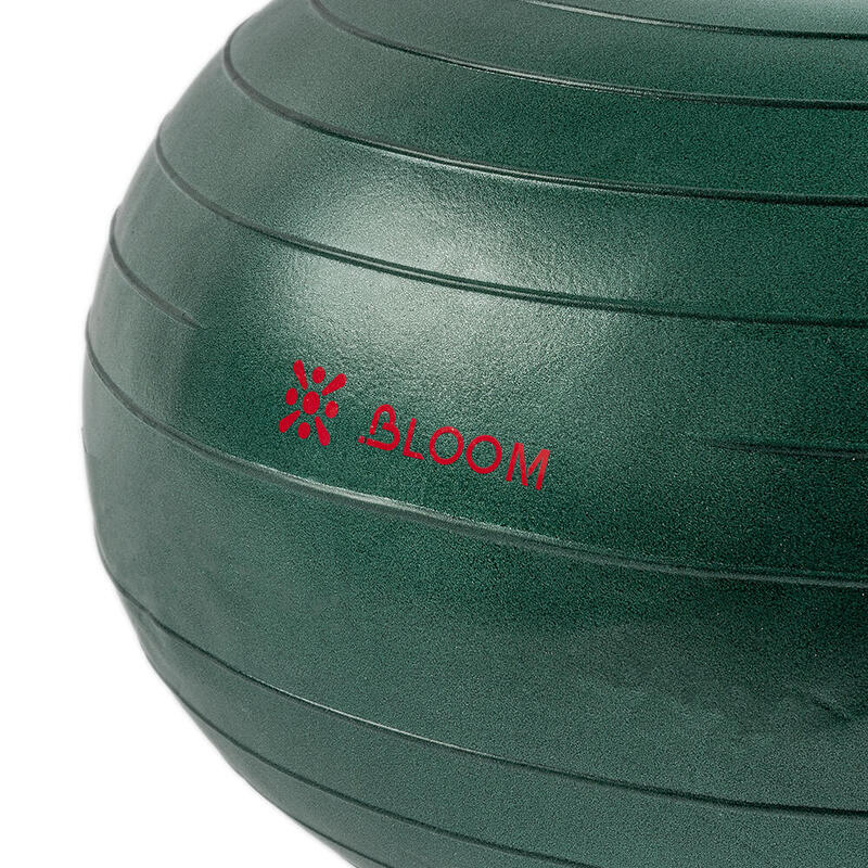 Bloom LB7053 Denge Topu Yeşil + Pompası