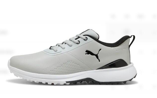PUMA picture