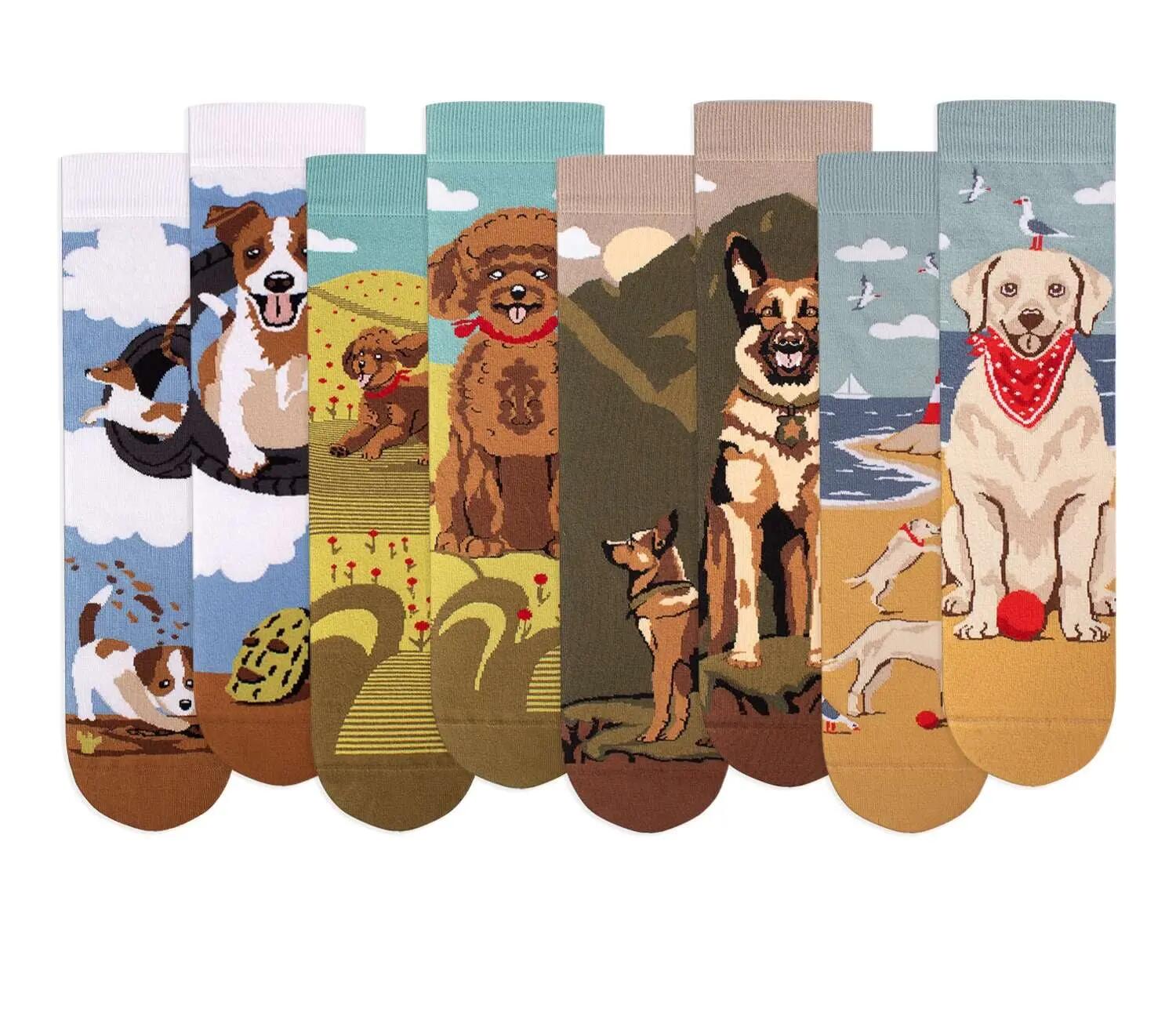 4 pár pamut zokni doboz Arty Socks Kutyák 1/4