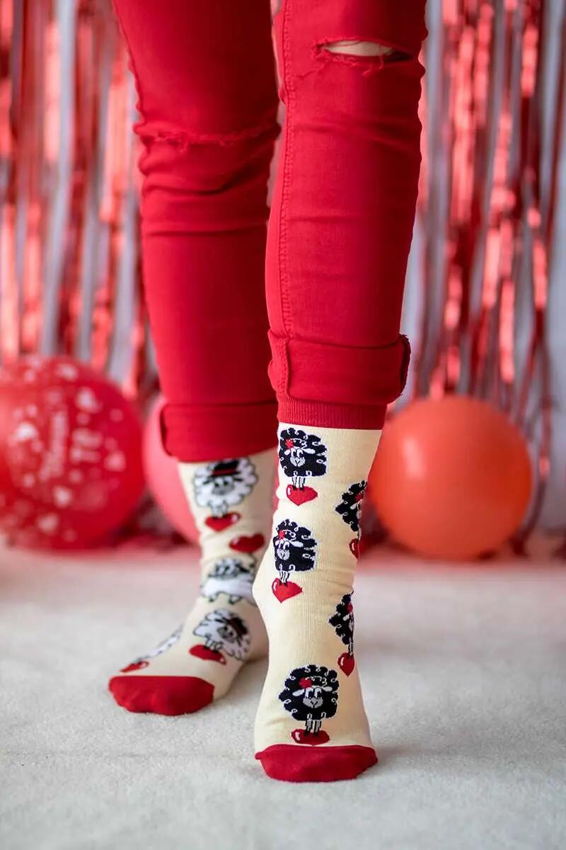 4 pár Arty Socks Szerelmes bárányka  pamut zokni ajándékdobozban 3/9
