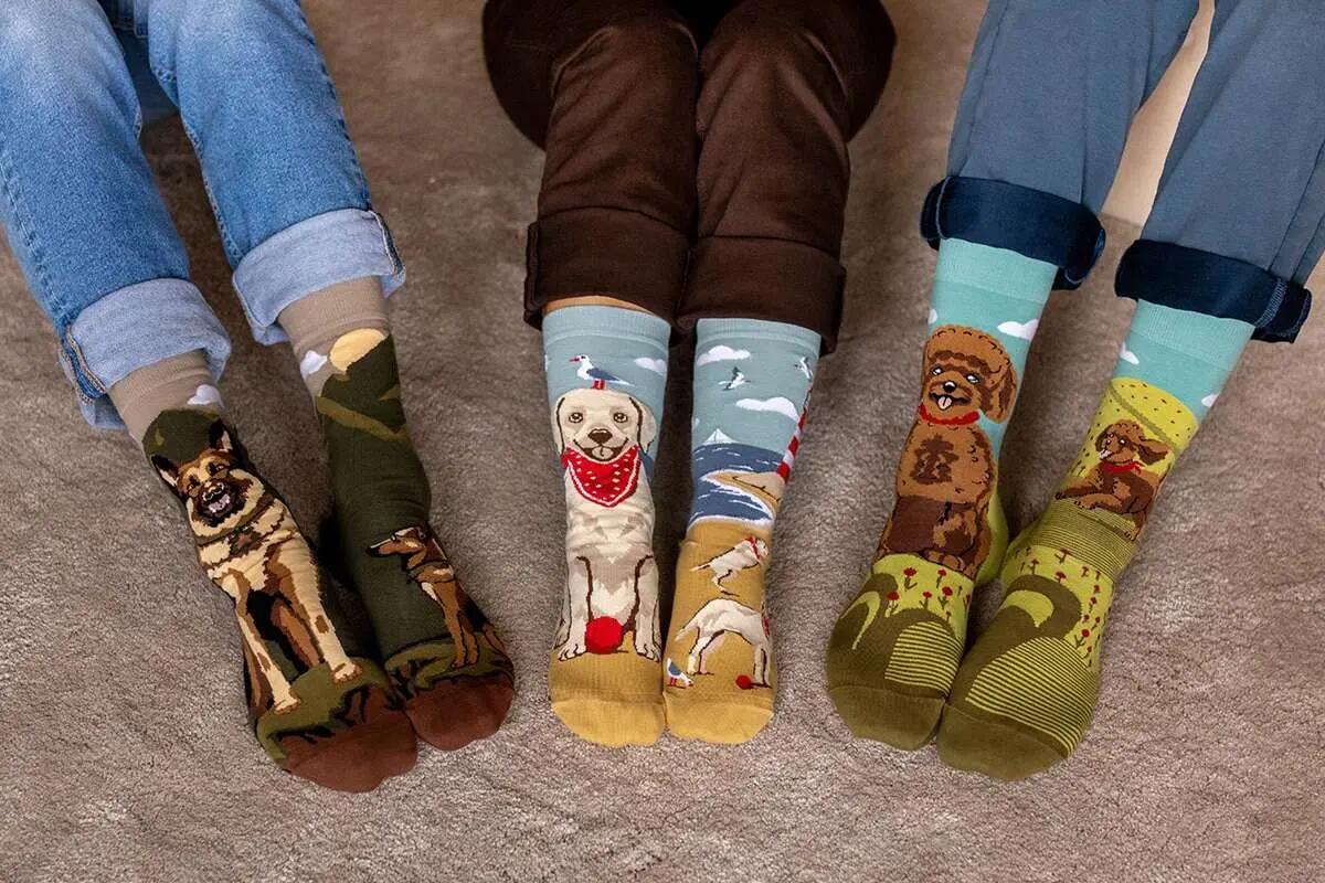 4 pár pamut zokni doboz Arty Socks Kutyák 3/4